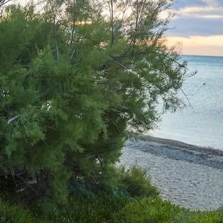 Villa Pieds Dans L'eau, De Luxe 4 *